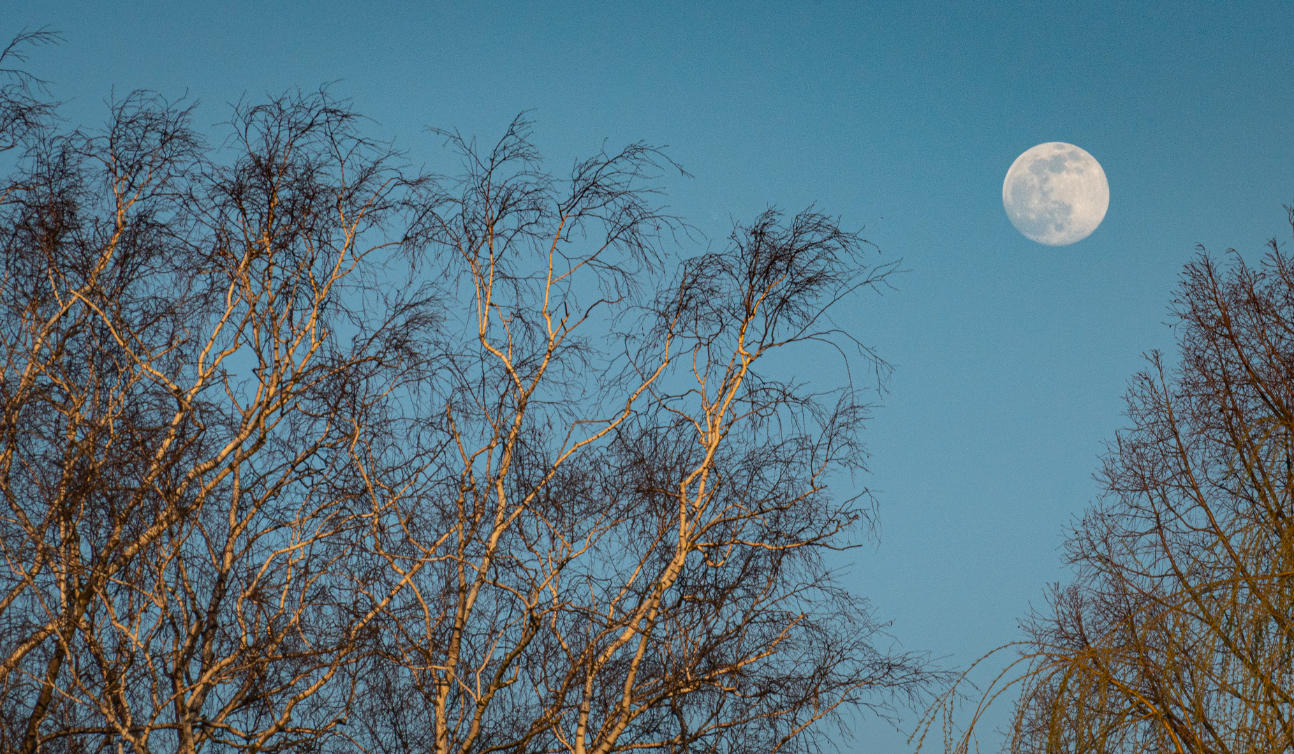 der Mond ist aufgegangen