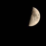 der Mond ist aufgegangen 13.11.2010