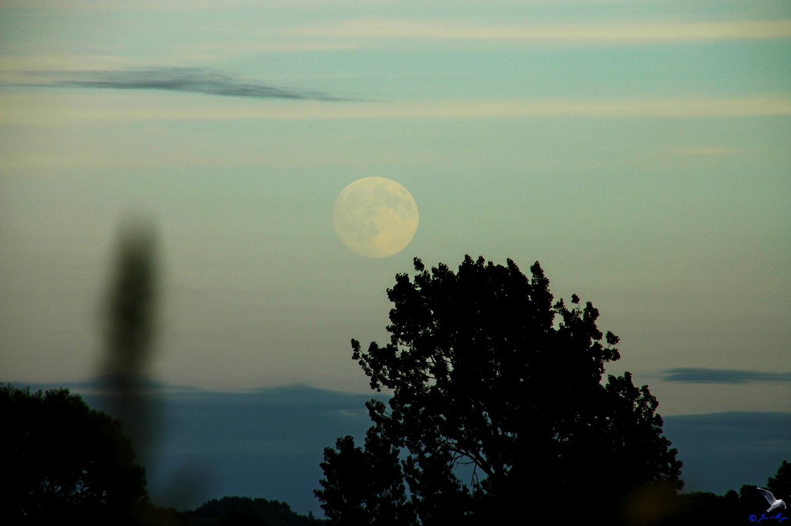 Der Mond ist aufgegangen