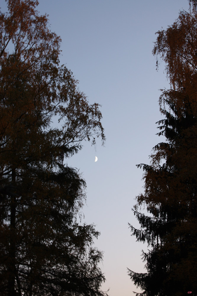 der Mond ist aufgegangen