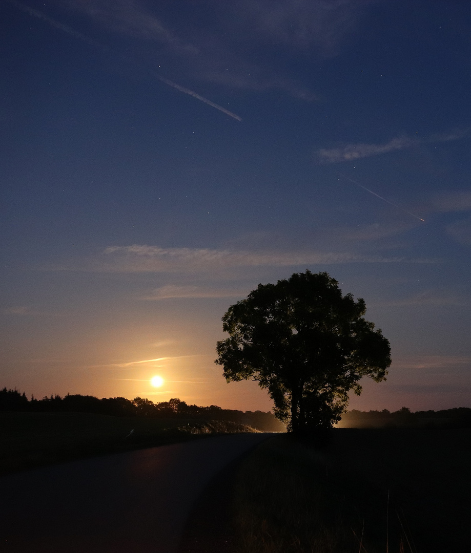 Der Mond ist aufgegangen 