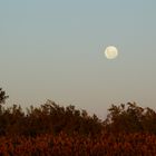 Der Mond ist aufgegangen