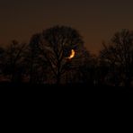 Der Mond ist aufgegangen