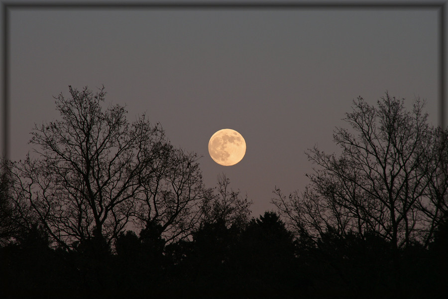 Der Mond ist aufgegangen