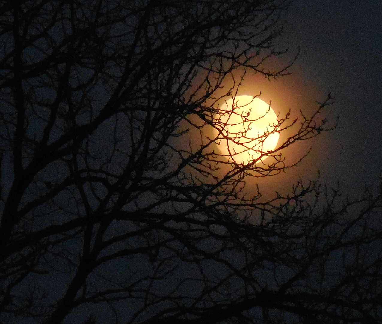 Der Mond ist aufgegangen