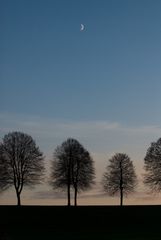 Der Mond ist aufgegangen