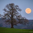 Der Mond ist aufgegangen