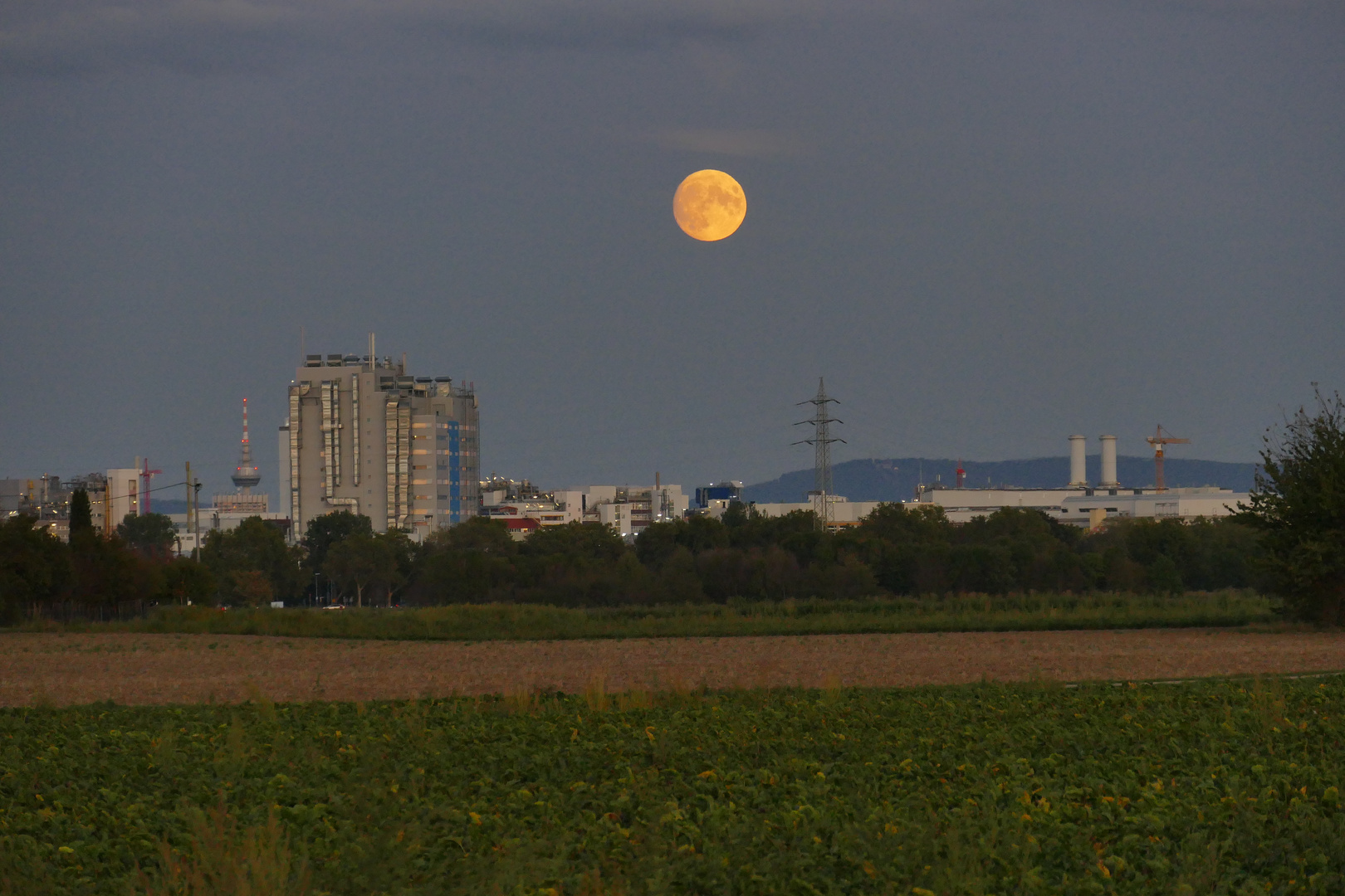 Der Mond ist aufgegangen