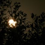 Der Mond ist aufgegangen,