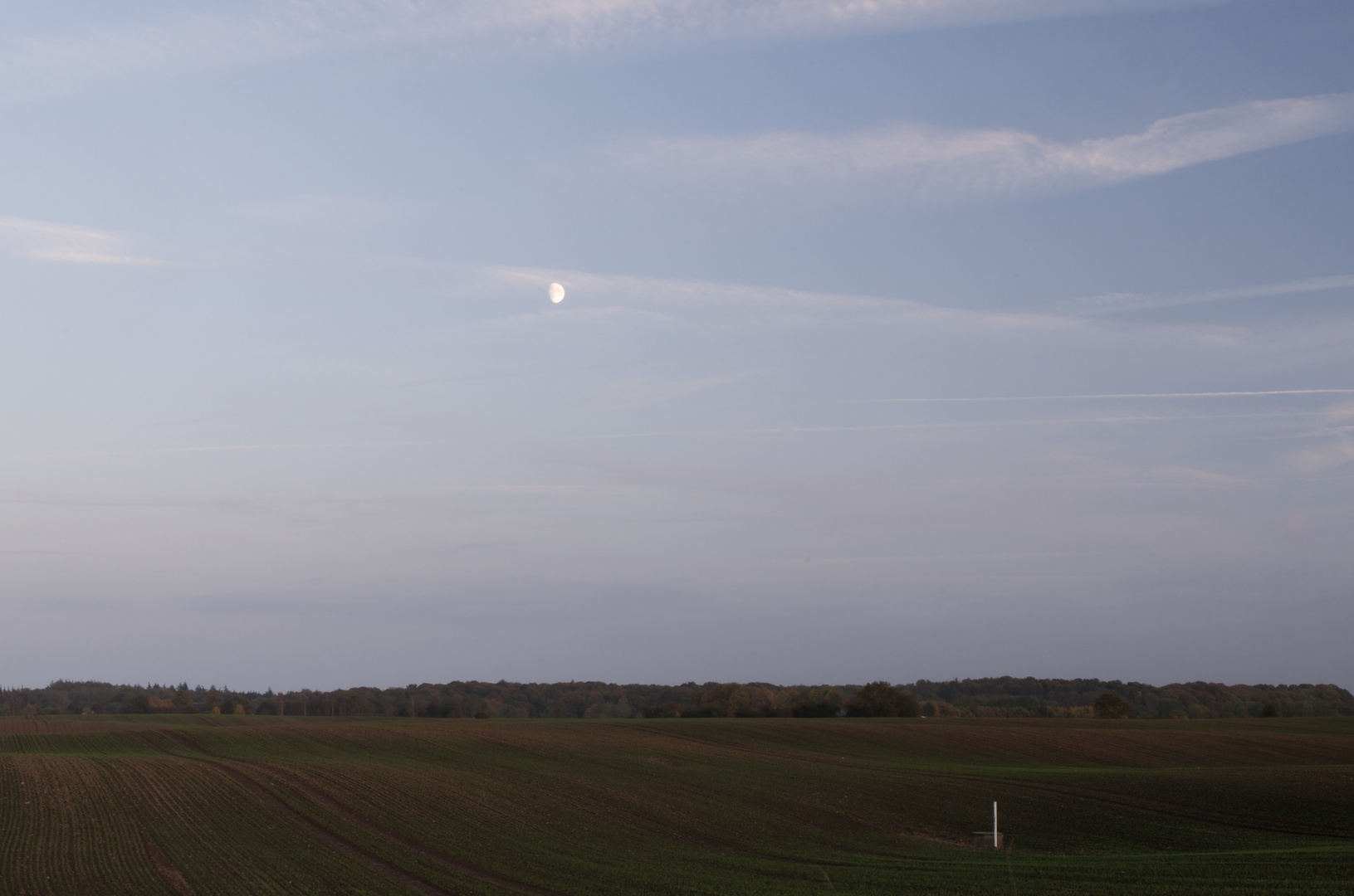 Der Mond ist aufgegangen...