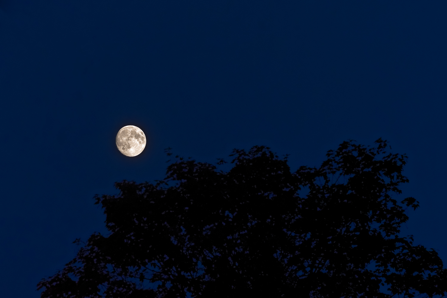 Der Mond ist aufgegangen