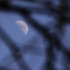 Der Mond ist aufgegangen