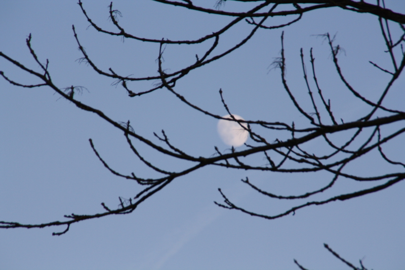 Der Mond ist aufgegangen