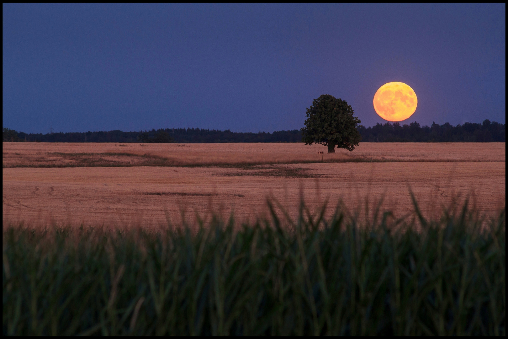 Der Mond ist aufgegangen 