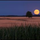 Der Mond ist aufgegangen 