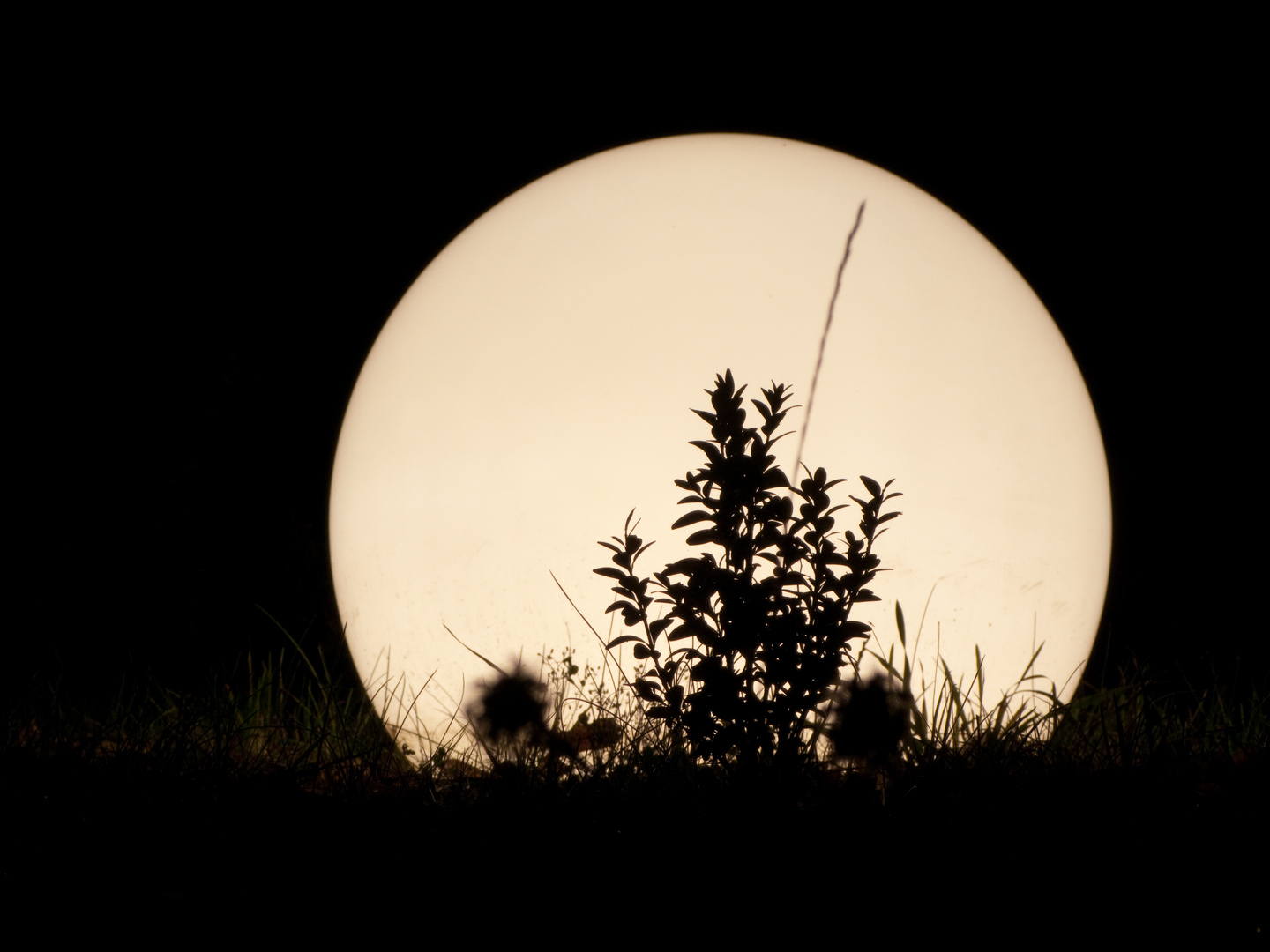 Der Mond ist aufgegangen