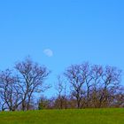 Der Mond ist aufgegangen