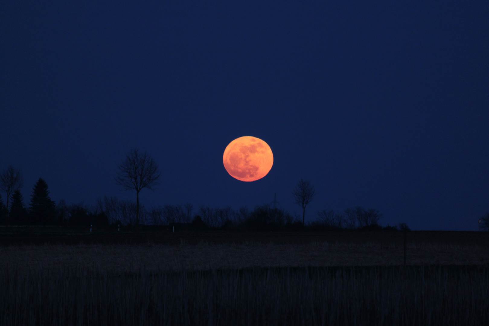 Der Mond ist aufgegangen Bild 3