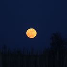 Der Mond ist aufgegangen Bild 5