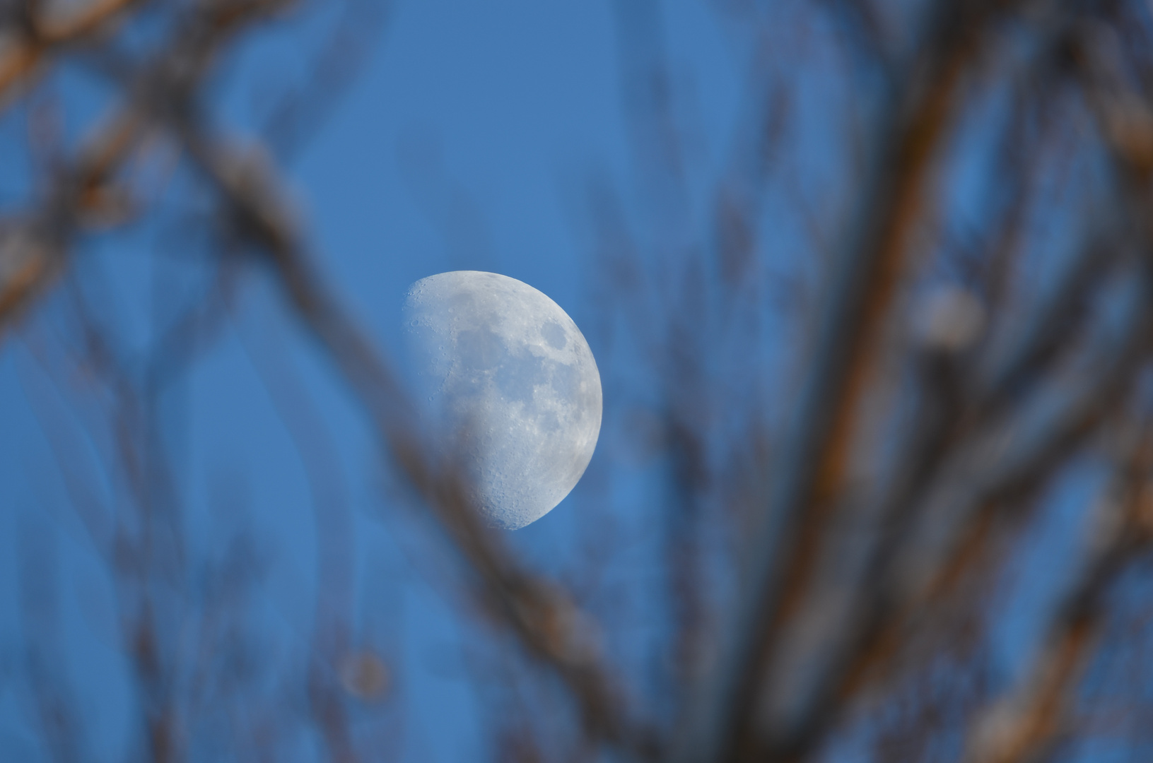 Der Mond ist aufgegangen...