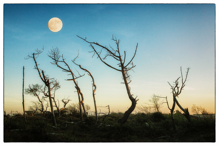 Der Mond ist aufgegangen...