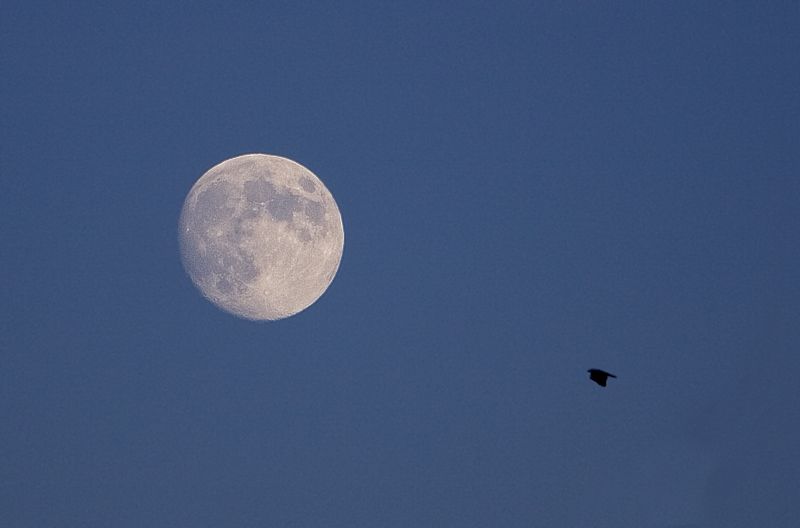 Der Mond ist aufgegangen