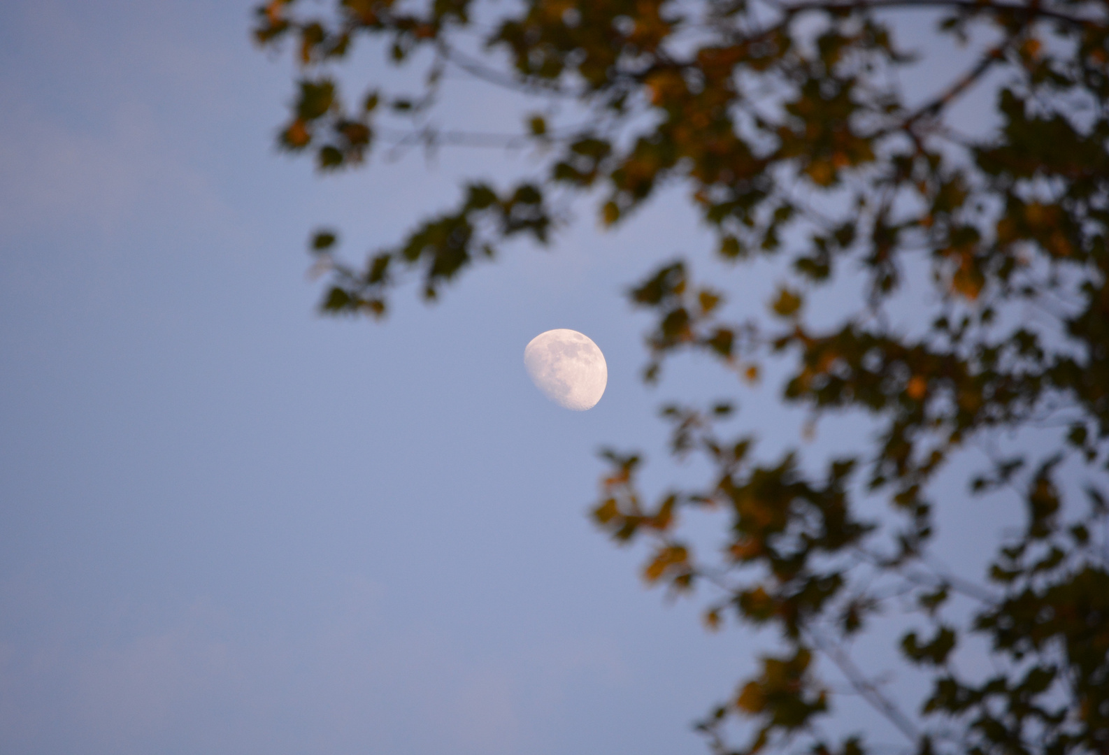 Der Mond kommt