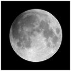 Der Mond kurz vor der Mondfinsternis