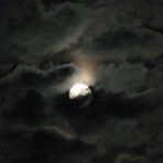 Der Mond leuchtet und ein Heulen ertönt