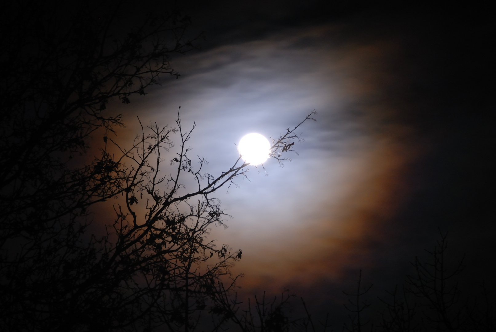 Der Mond mit Lichtkranz