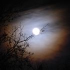 Der Mond mit Lichtkranz