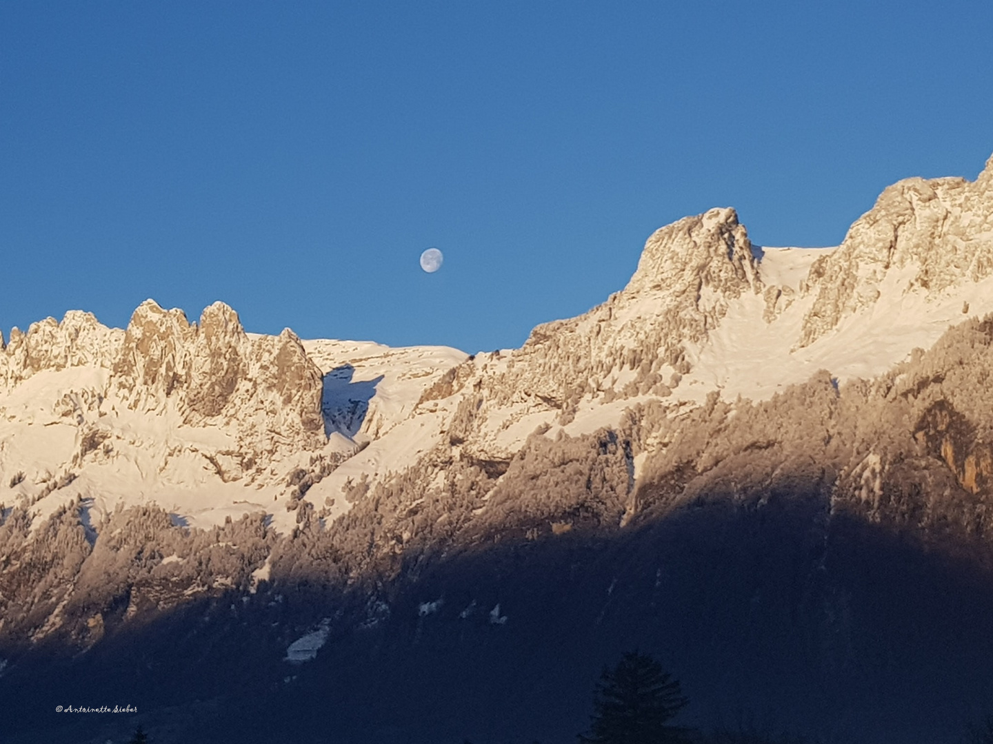 Der Mond möchte noch nicht Schlafen gehen