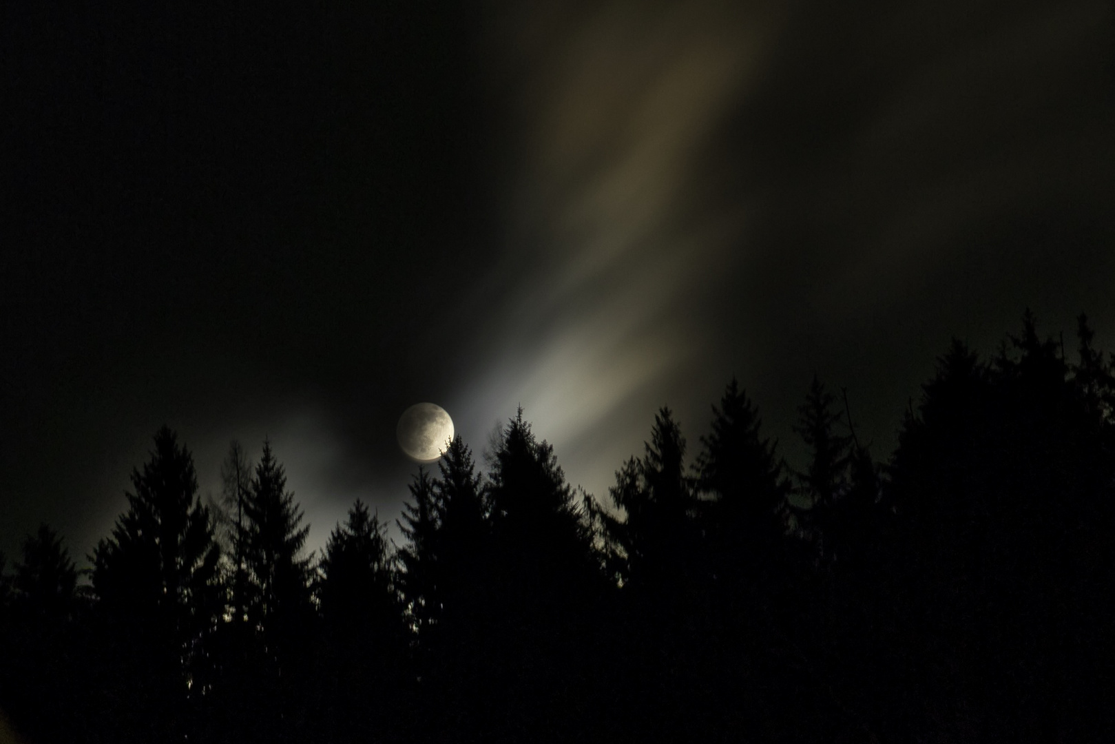 Der Mond schaut über den Wald ins Tal.