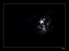 Der Mond scheint.....