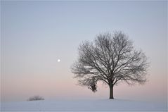 der Mond scheint dazu......