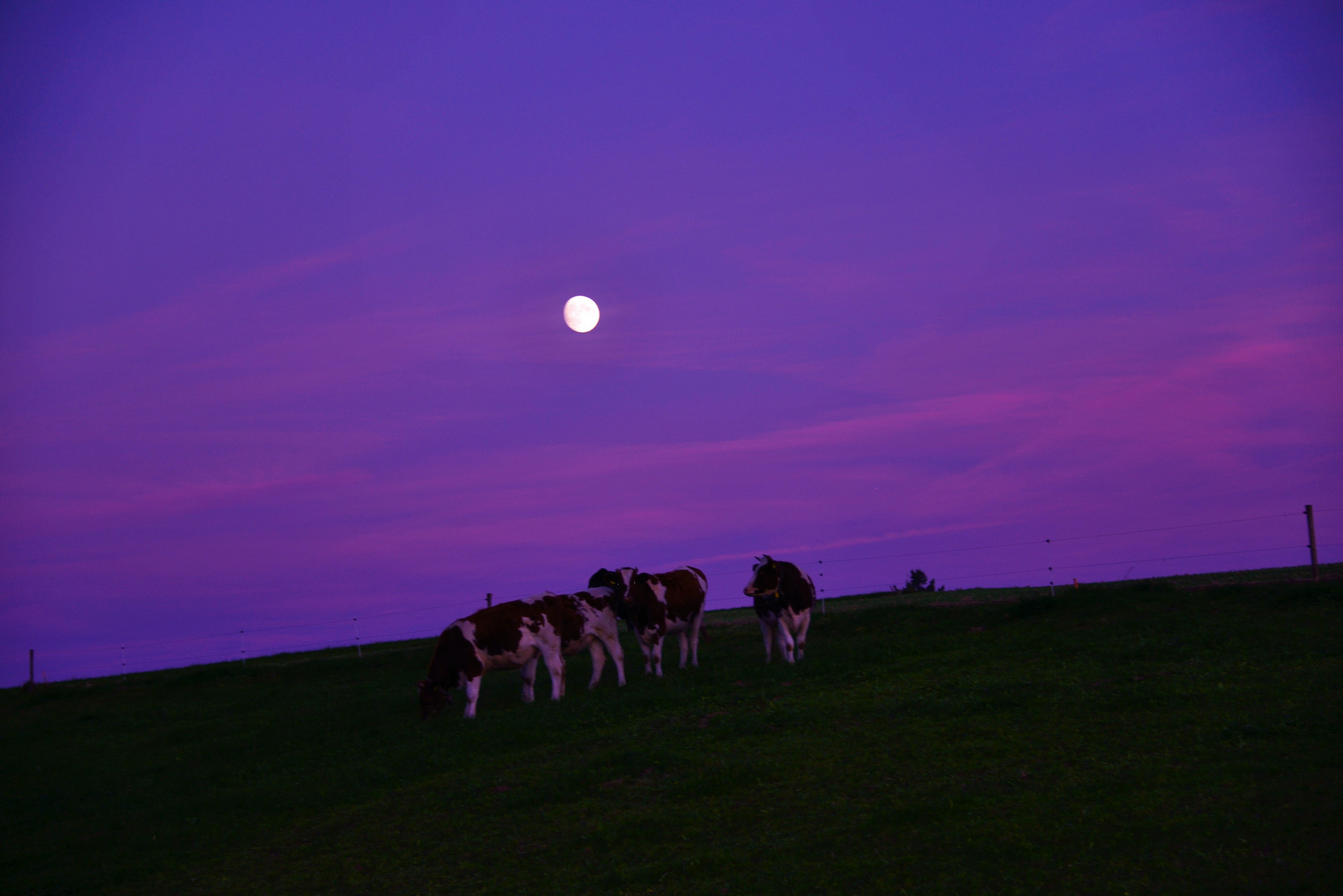 der Mond schien helle.......