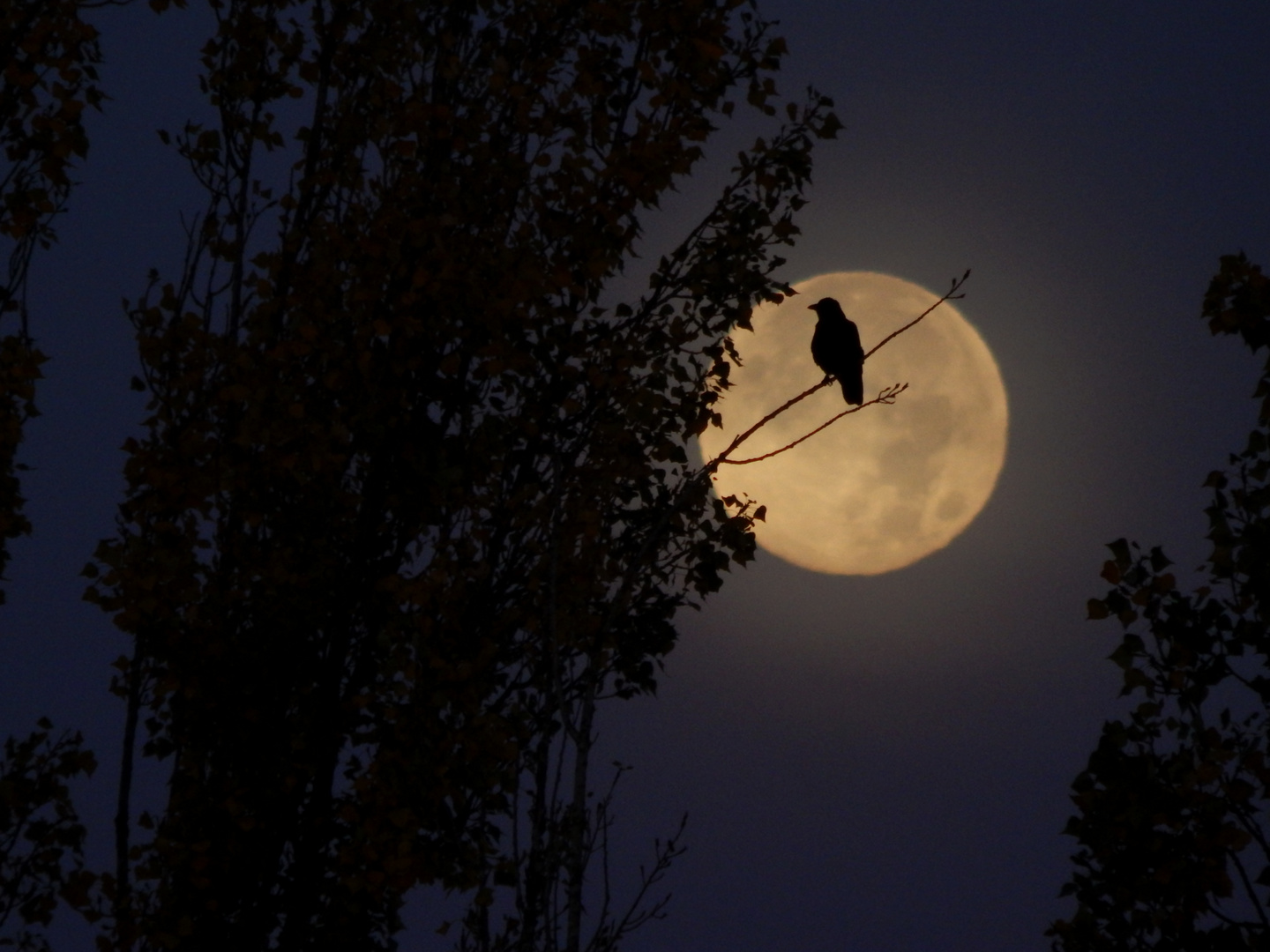 Der Mond, Stunden nach der partiellen Finsternis.