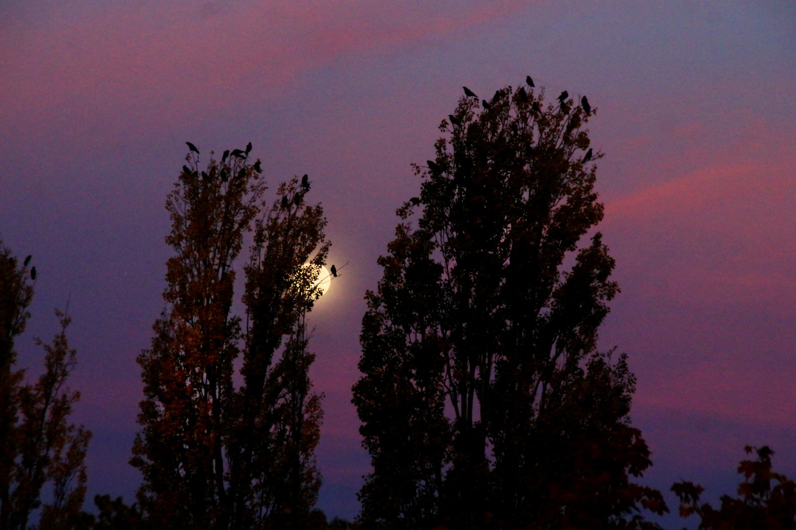 Der Mond, Stunden nach der partiellen Finsternis.