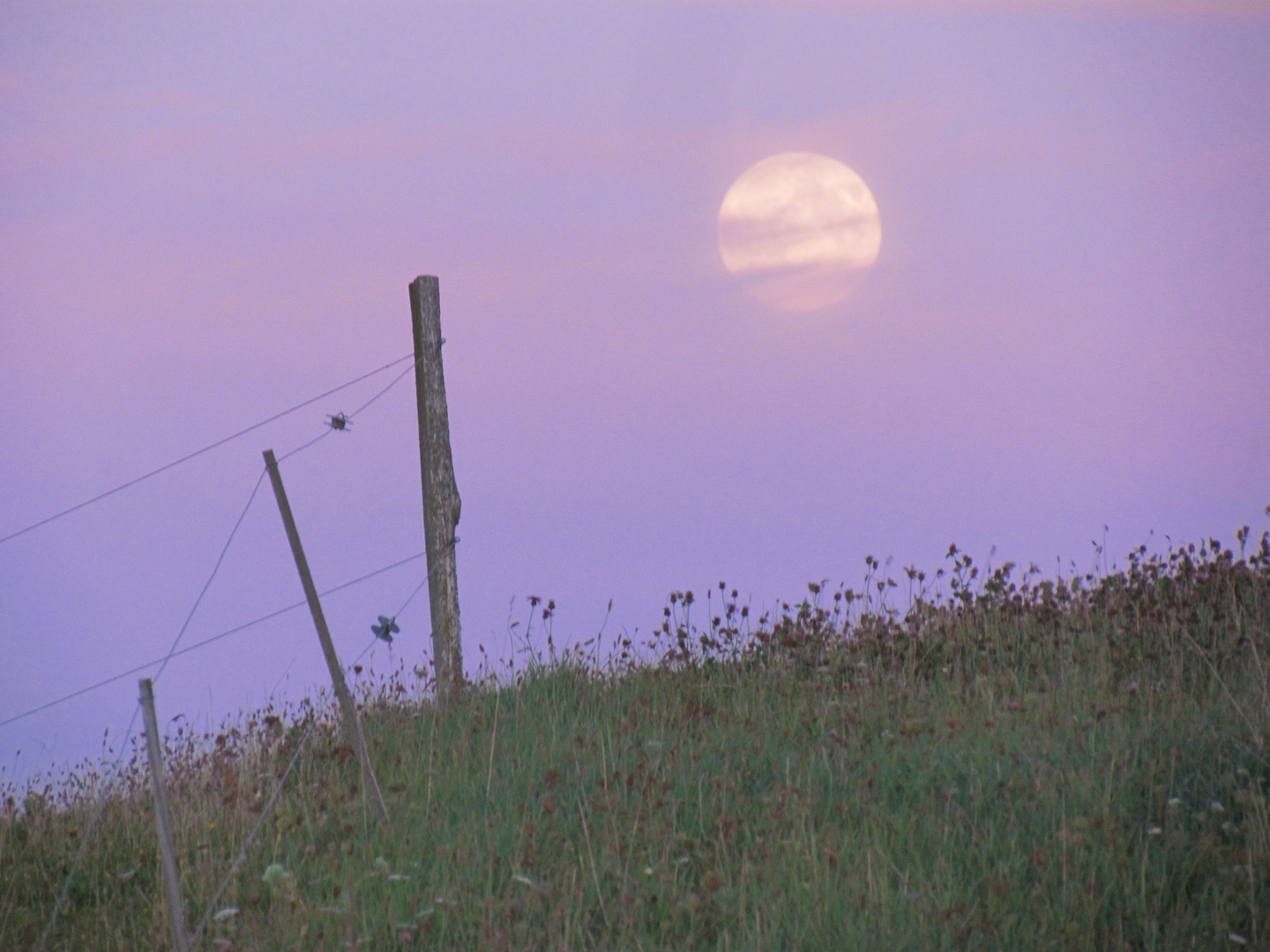 Der Mond über dem Hügel