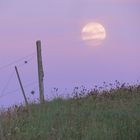 Der Mond über dem Hügel