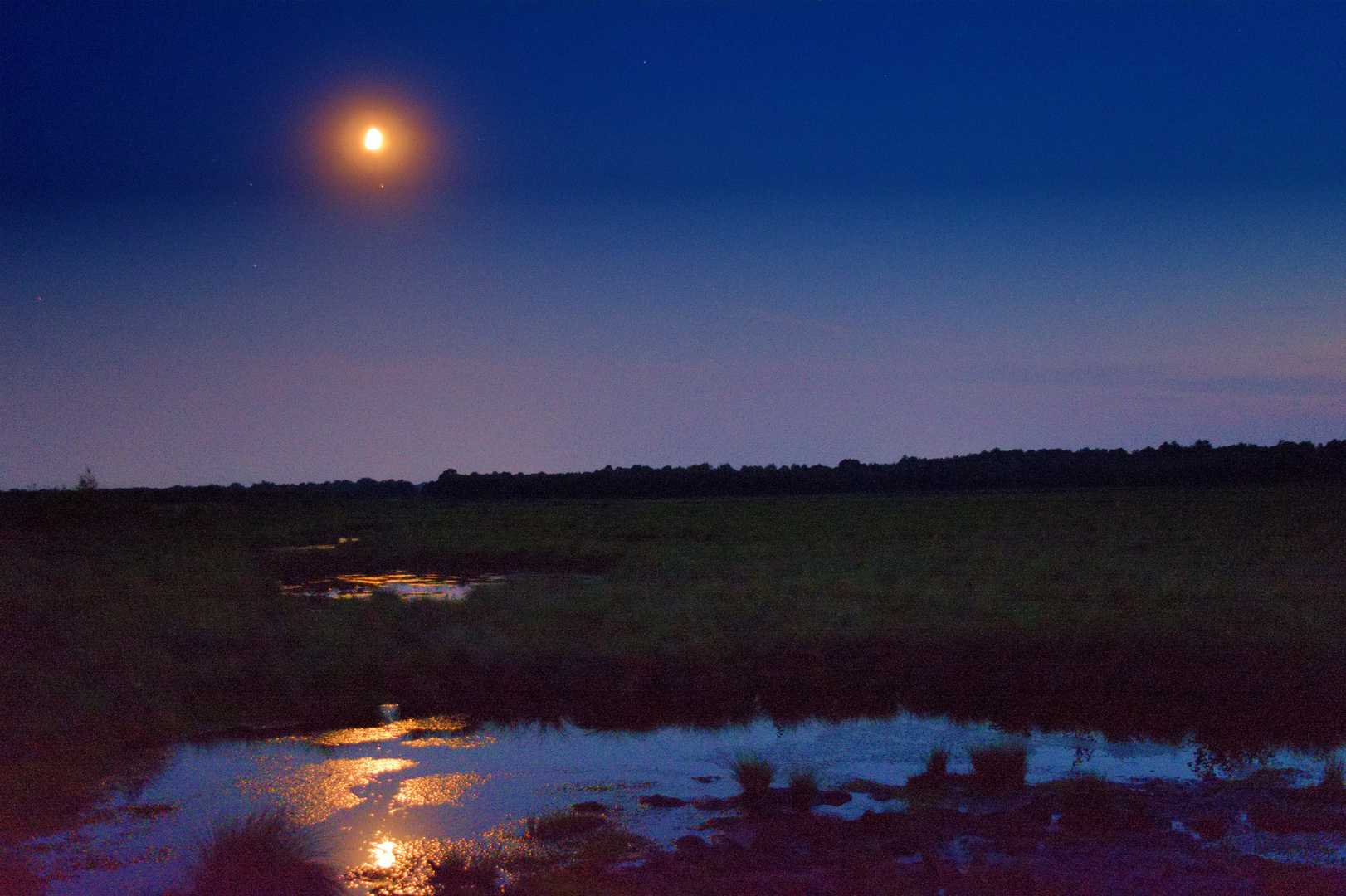 Der Mond über dem Moor