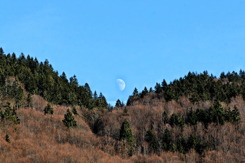 Der Mond über dem Schwarzwald