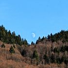 Der Mond über dem Schwarzwald