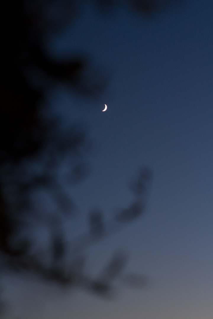 Der Mond über den Bergen Patrias