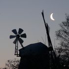 Der Mond über der Grebiner Mühle