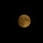 Der Mond über Gustavsburg