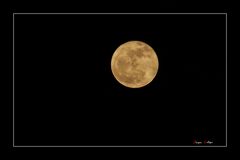 Der Mond über Gustavsburg bei Mainz