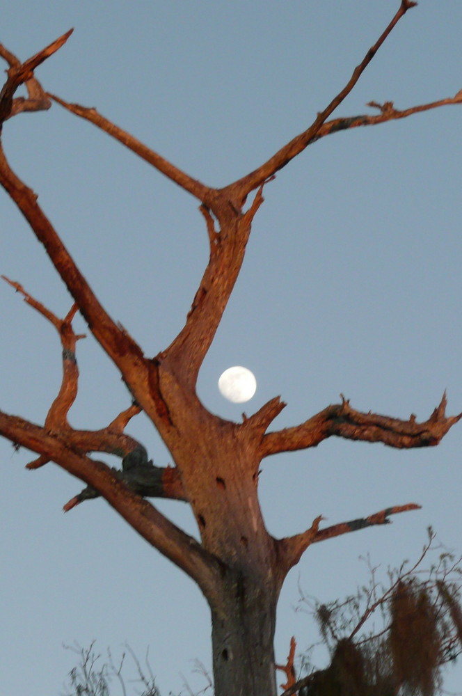 der mond ueber orange blue