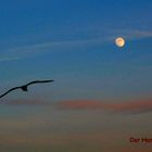 Der Mond über Rügen