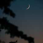 Der Mond und anfliegende Flugzeuge